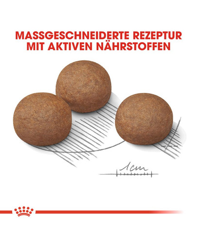 ROYAL CANIN MAXI Digestive Care Trockenfutter für große Hunde mit empfindlicher Verdauung 3 kg