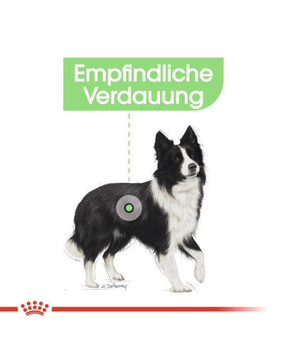ROYAL CANIN DIGESTIVE CARE MEDIUM Trockenfutter für mittelgroße Hunde mit emfindlicher Verdauung 3 kg