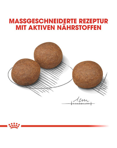 ROYAL CANIN DIGESTIVE CARE MEDIUM Trockenfutter für mittelgroße Hunde mit emfindlicher Verdauung 3 kg