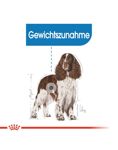 ROYAL CANIN Meium Light Weight Care Trockenfutter für übergewichtige mittelgroße Hunde 3 kg