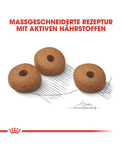 ROYAL CANIN Meium Light Weight Care Trockenfutter für übergewichtige mittelgroße Hunde 3 kg