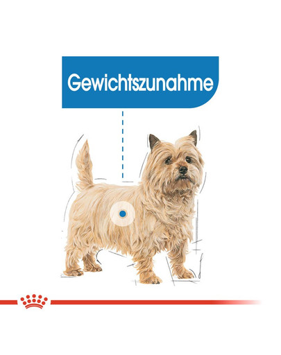 ROYAL CANIN LIGHT WEIGHT CARE MINI Trockenfutter für kleine Hunde mit Neigung zu Übergewicht 3 kg