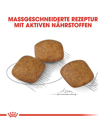 ROYAL CANIN RELAX CARE MEDIUM Trockenfutter für mittelgroße Hunde in unruhigem Umfeld 10 kg