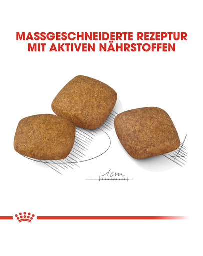 ROYAL CANIN RELAX CARE MAXI Trockenfutter für große Hunde in unruhigem Umfeld 9 kg