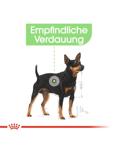 ROYAL CANIN DIGESTIVE CARE MINI Trockenfutter für kleine Hunde mit empfindlicher Verdauung 8 kg