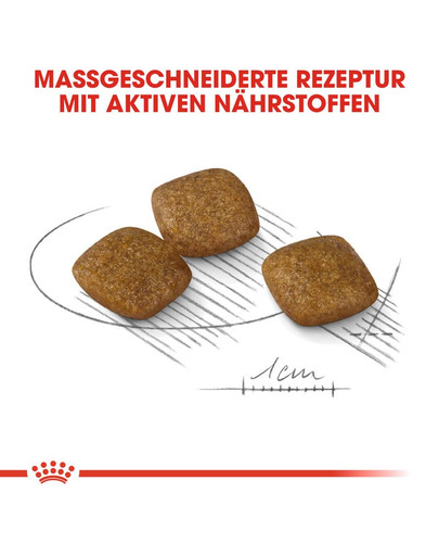 ROYAL CANIN RELAX CARE MINI Trockenfutter für kleine Hunde in unruhigem Umfeld 8 kg