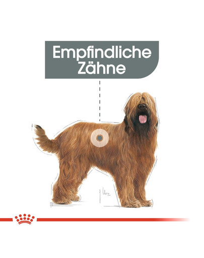 ROYAL CANIN DENTAL CARE MAXI Trockenfutter für große Hunde mit empfindlichen Zähnen 9 kg