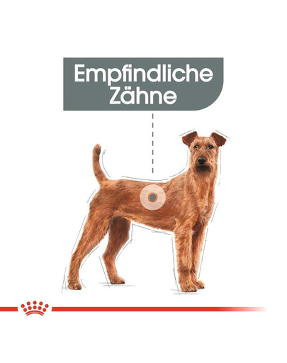 ROYAL CANIN DENTAL CARE MEDIUM Trockenfutter für mittelgroße Hunde mit empfindlichen Zähnen 10 kg