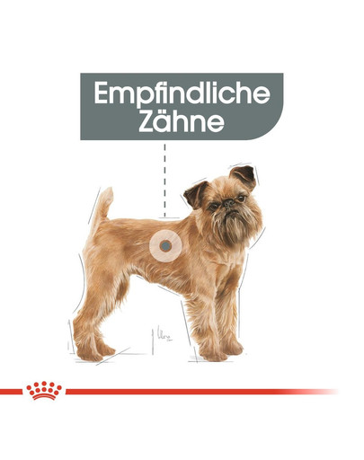 ROYAL CANIN DENTAL CARE MINI Trockenfutter für kleine Hunde mit empfindlichen Zähnen 8 kg