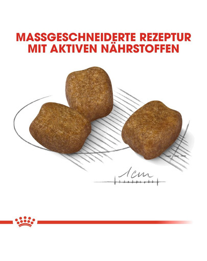 ROYAL CANIN DENTAL CARE MINI Trockenfutter für kleine Hunde mit empfindlichen Zähnen 3 kg