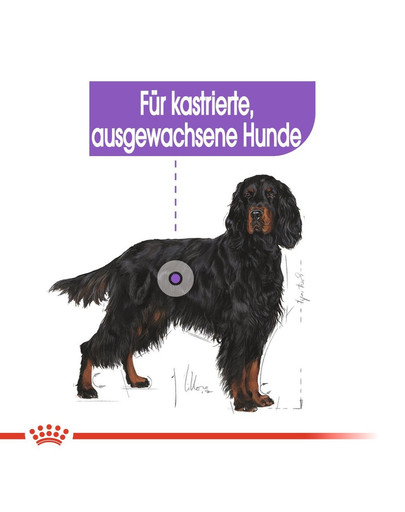 ROYAL CANIN STERILISED MAXI Trockenfutter für kastrierte große Hunde 3 kg