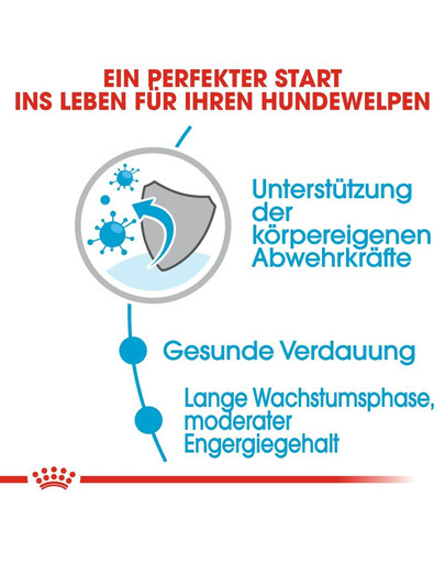 ROYAL CANIN MAXI PUPPY Welpenfutter nass für große Hunde 10 x 140 g