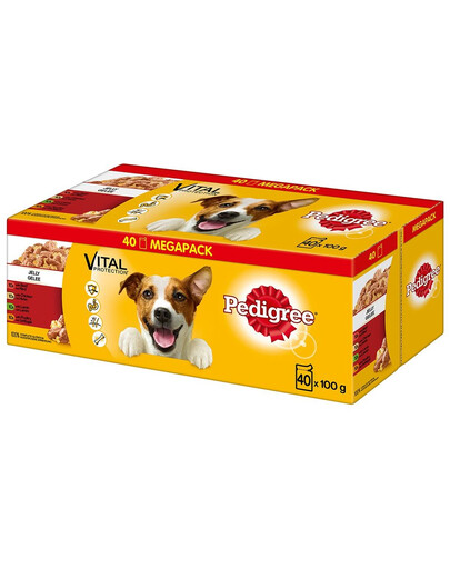 PEDIGREE Multipack Adult in Gelee 40x100g
