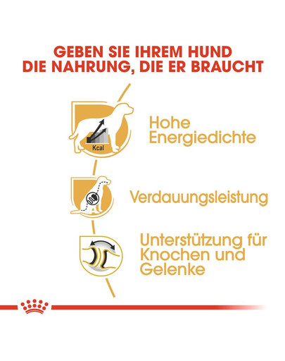 ROYAL CANIN Great Dane Adult Hundefutter trocken für Deutsche Doggen 12 kg