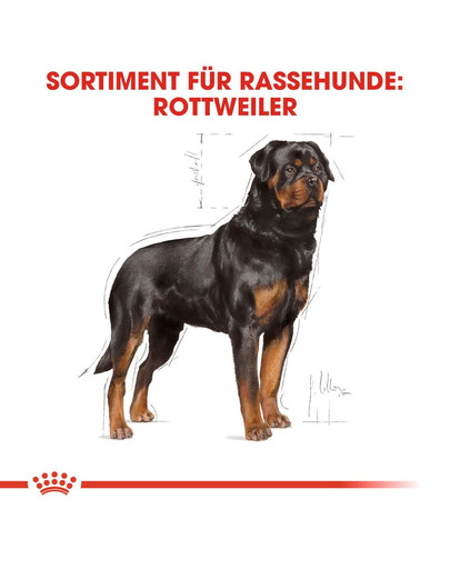 ROYAL CANIN Rottweiler Adult Hundefutter trocken 12 kg