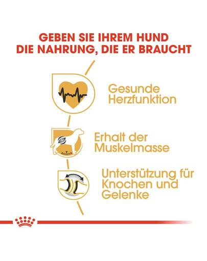 ROYAL CANIN Rottweiler Adult Hundefutter trocken 12 kg