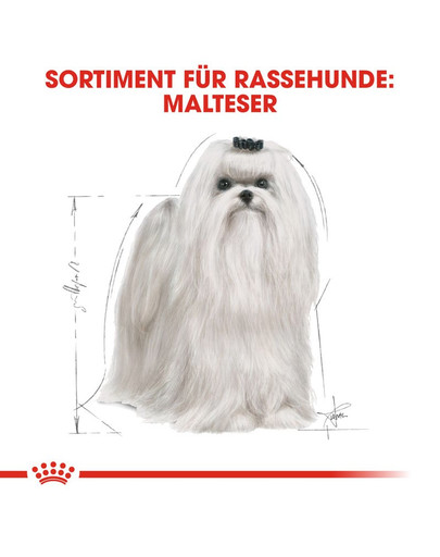 ROYAL CANIN Maltese Adult Hundefutter trocken 1,5 kg