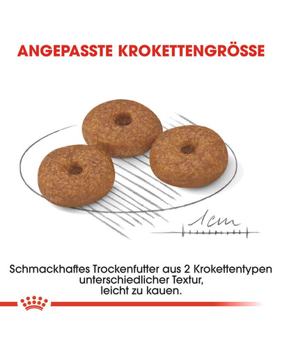 ROYAL CANIN MINI Ageing 12+ Trockenfutter für ausgewachsene Hunde, kleine Rassen 3,5 kg