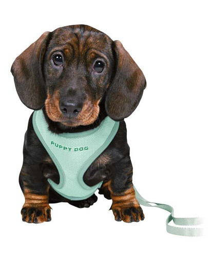 TRIXIE Junior Welpengeschirr mit Leine 26-34 cm/10 mm, 2 m, mint