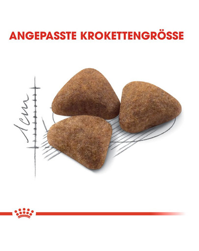 ROYAL CANIN INDOOR 27 Trockenfutter für Wohnungskatzen 10 kg