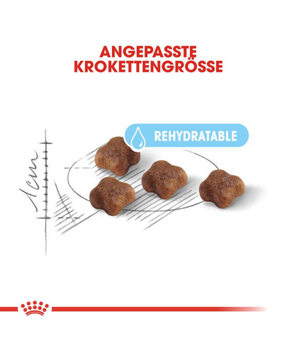 ROYAL CANIN MOTHER & BABYCAT Katzenfutter für tragende Katzen und Kitten 400 g