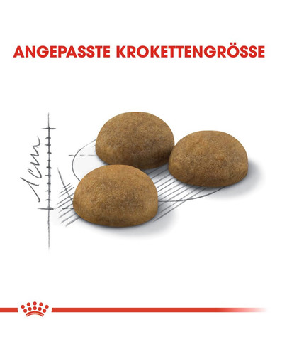 ROYAL CANIN INDOOR Longhair Trockenfutter für Wohnungskatzen mit langem Fell 4 kg