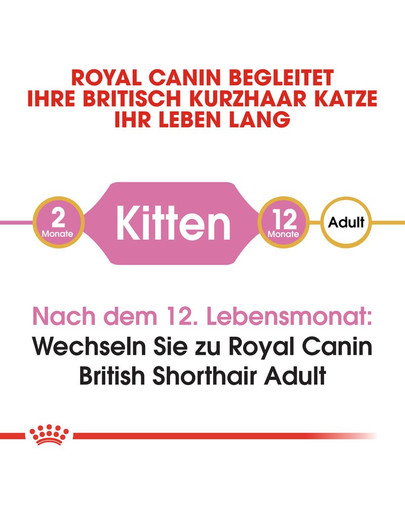 ROYAL CANIN British Shorthair Kittenfutter trocken für BKH Kätzchen 400 g