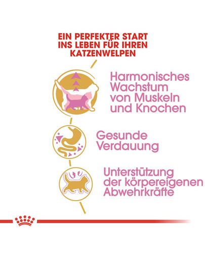 ROYAL CANIN British Shorthair Kittenfutter trocken für BKH Kätzchen 2 kg