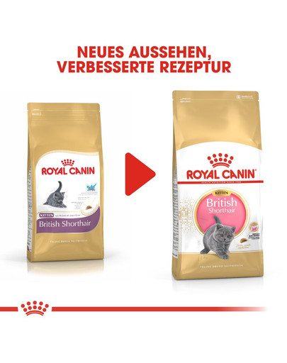 ROYAL CANIN British Shorthair Kittenfutter trocken für BKH Kätzchen 10 kg