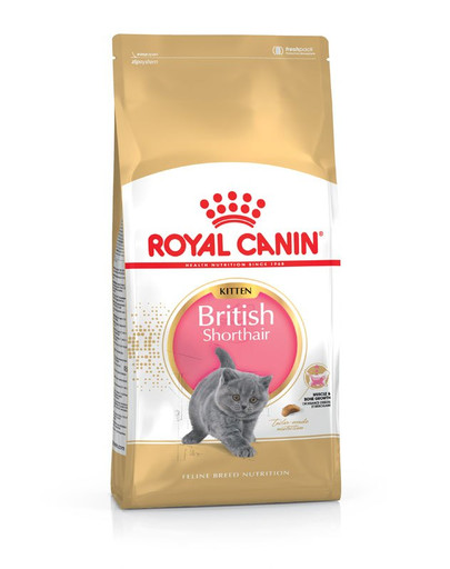 ROYAL CANIN British Shorthair Kittenfutter trocken für BKH Kätzchen 10 kg