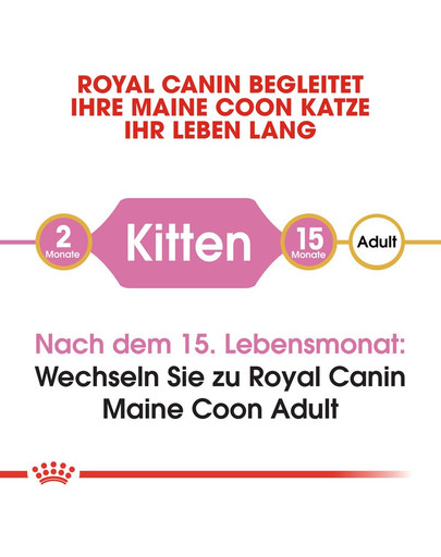 ROYAL CANIN Maine Coon Kittenfutter trocken für Kätzchen 400 g