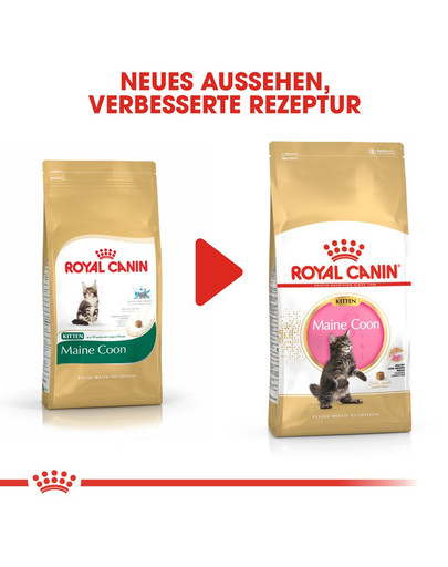 ROYAL CANIN Maine Coon Kittenfutter trocken für Kätzchen 400 g