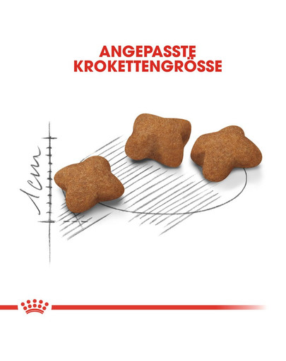 ROYAL CANIN KITTEN Sterilised Kittenfutter für kastrierte Kätzchen 400 g