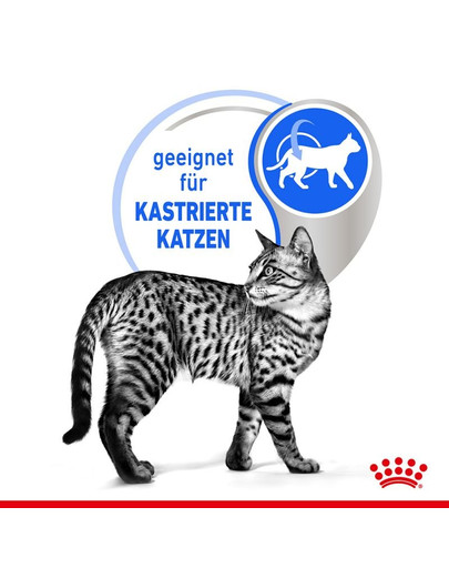 ROYAL CANIN INDOOR Sterilised in Gelee Nassfutter für Wohnungskatzen 12 x 85 g