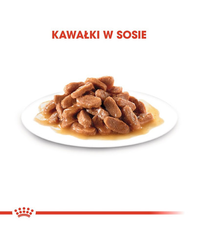 ROYAL CANIN KITTEN Sterilised Kittenfutter für kastrierte Kätzchen 12 x 85 g