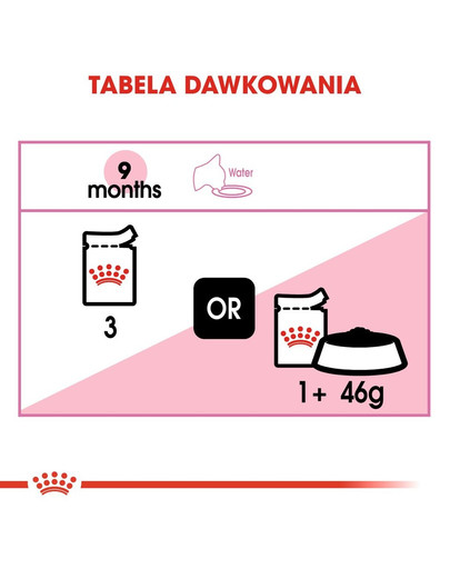 ROYAL CANIN KITTEN Sterilised Kittenfutter für kastrierte Kätzchen 12 x 85 g