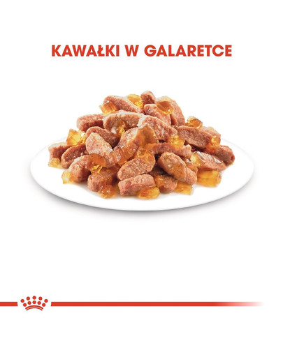 ROYAL CANIN Kitten Sterilised 12 x 85 g