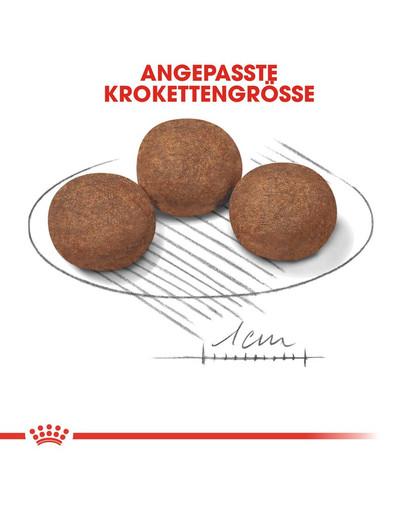 ROYAL CANIN MEDIUM Puppy Welpenfutter trocken für mittelgroße Hunde 4 kg