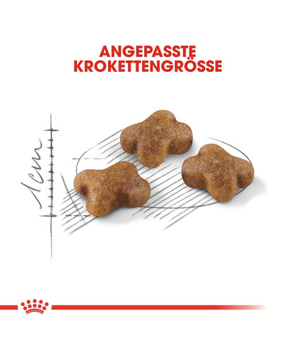 ROYAL CANIN KITTEN Trockenfutter für Kätzchen 2 kg