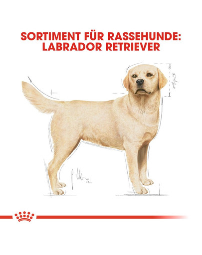 ROYAL CANIN Labrador Retriever Adult Hundefutter trocken 12 kg