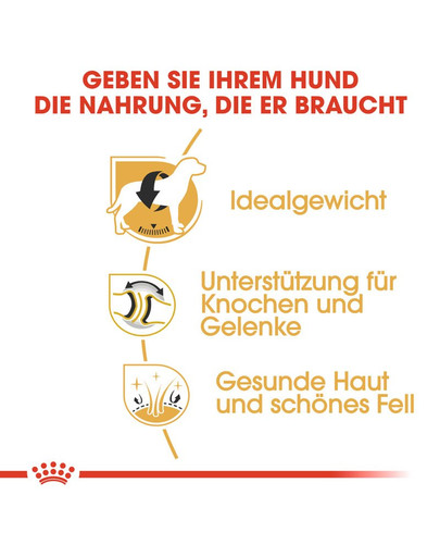 ROYAL CANIN Labrador Retriever Adult Hundefutter trocken 12 kg