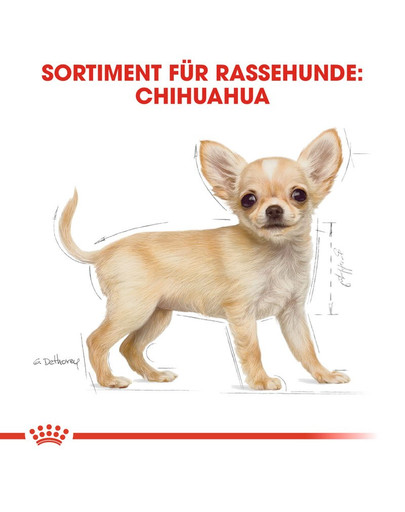 ROYAL CANIN Chihuahua Puppy Welpenfutter trocken 500 g