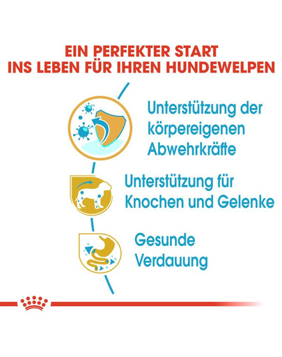 ROYAL CANIN Dachshund Puppy Welpenfutter trocken für Dackel 1,5 kg