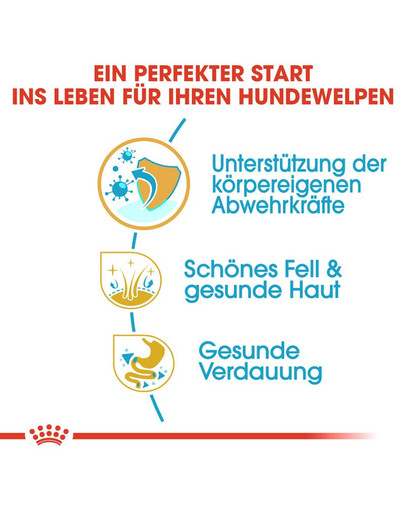 ROYAL CANIN Cavalier King Charles Puppy Welpenfutter trocken 1,5 kg