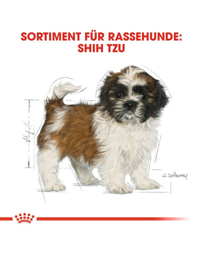 ROYAL CANIN Cavalier King Charles Puppy Welpenfutter trocken 1,5 kg