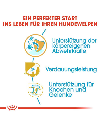 ROYAL CANIN German Shepherd Puppy Welpenfutter trocken für Deutsche Schäferhunde 12 kg