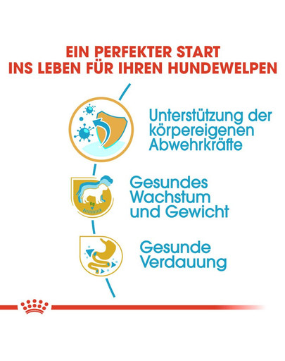 ROYAL CANIN Labrador Retriever Puppy Welpenfutter trocken 12 kg