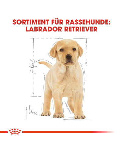 ROYAL CANIN Labrador Retriever Puppy Welpenfutter trocken 12 kg