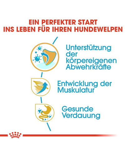 ROYAL CANIN Boxer Puppy Welpenfutter trocken 12 kg