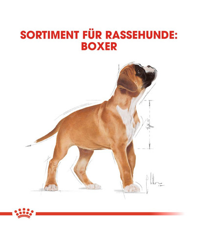 ROYAL CANIN Boxer Puppy Welpenfutter trocken 12 kg